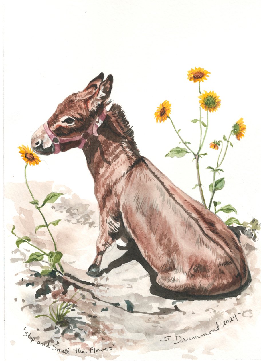 Stop and Smell the Flowers, 2024 (akvarel på papir) af Sarah Drummond