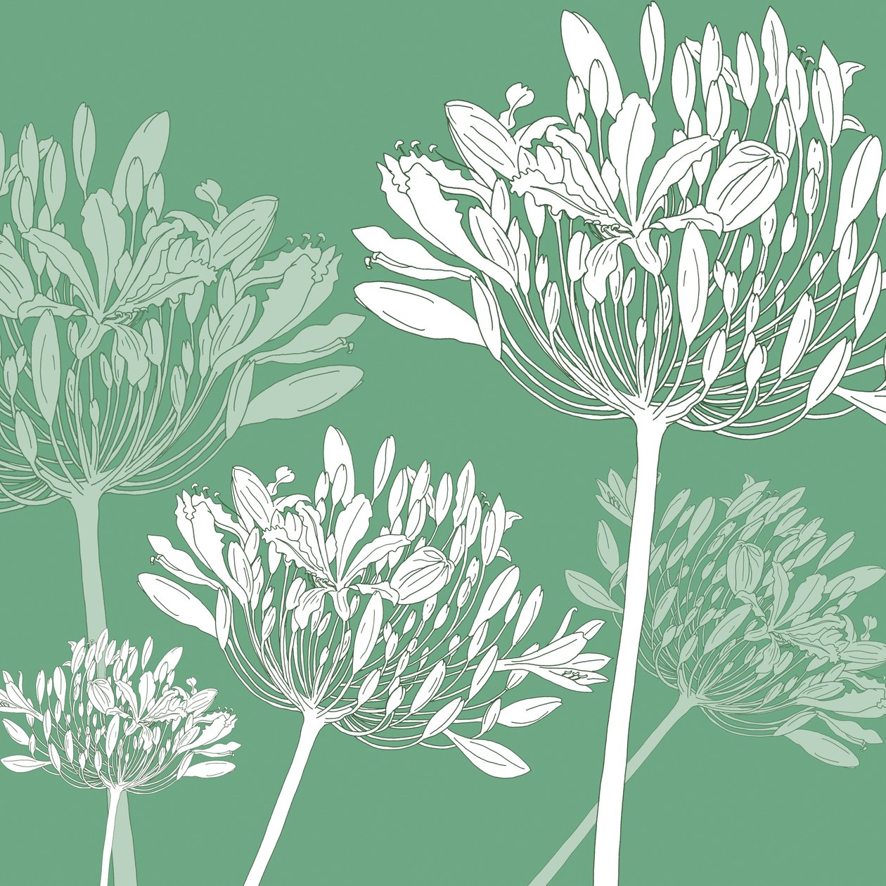 Agapanthus breeze, 2005 (digital) af Sarah Hough