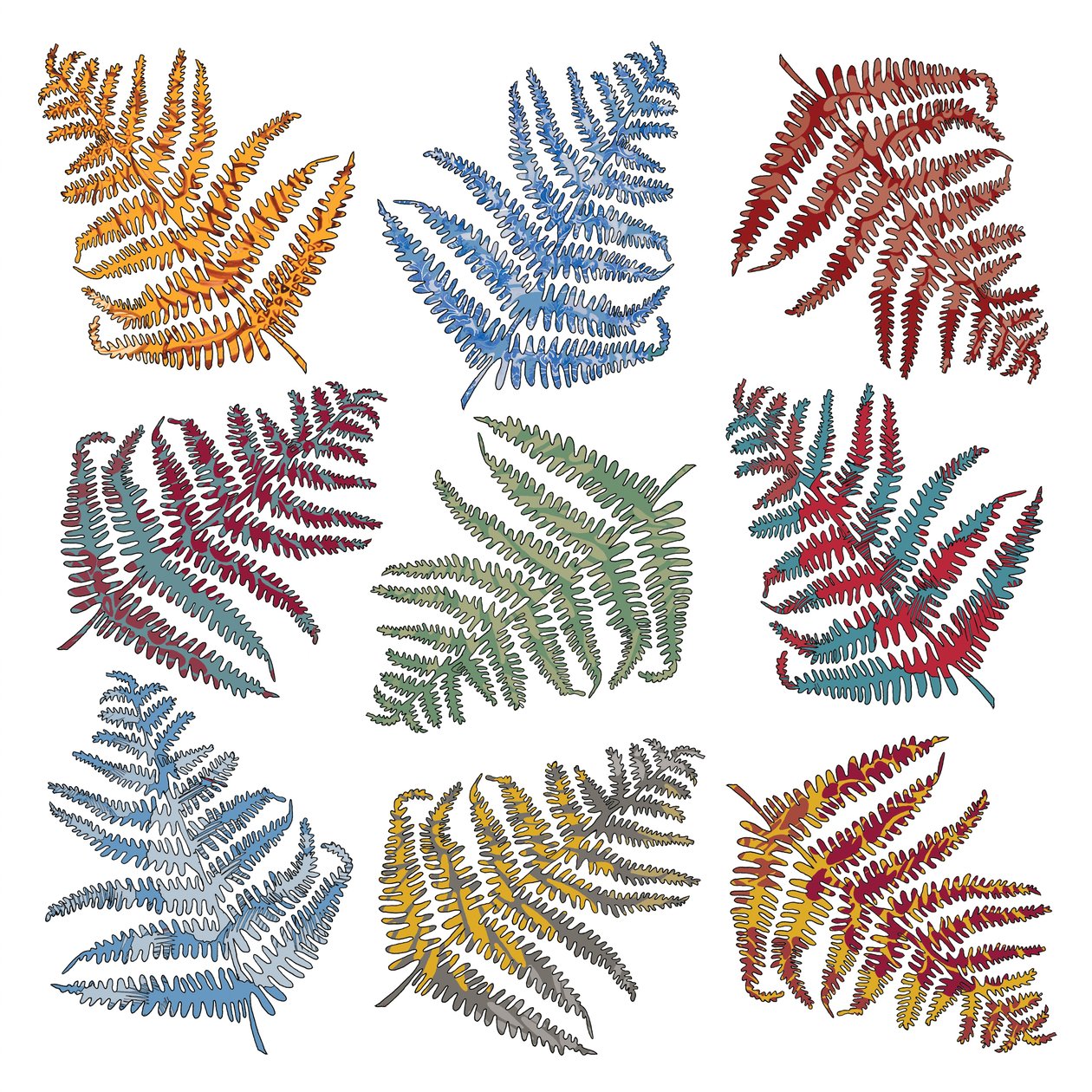 Ferns, 2012 (digital) af Sarah Hough