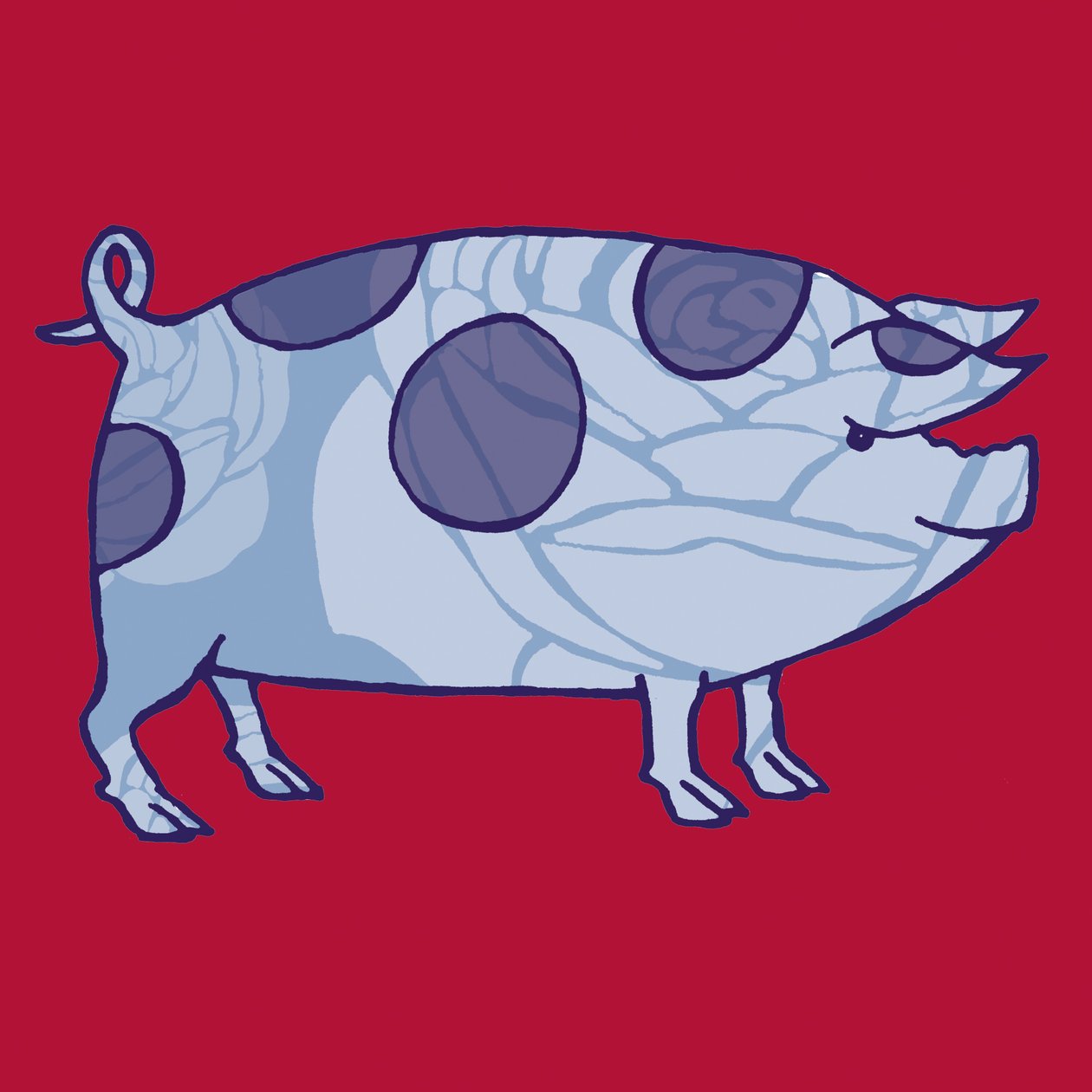 Piddle Valley Pig, 2005 (digital) af Sarah Hough
