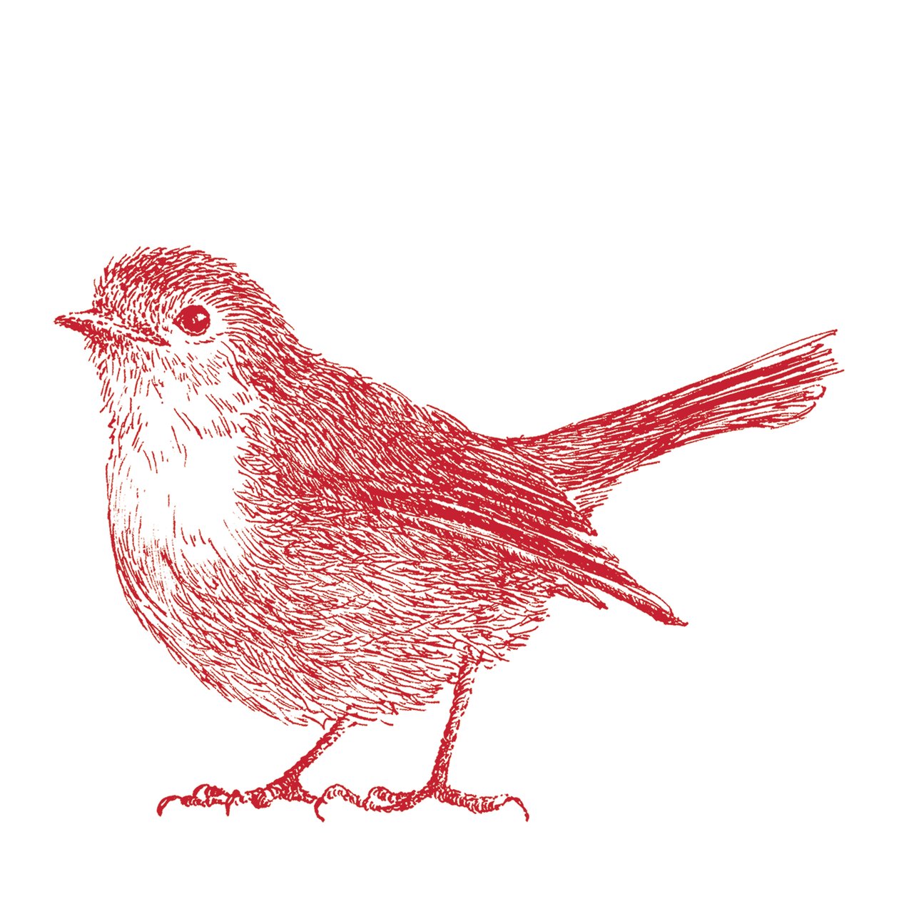 Robin, 2017 af Sarah Hough