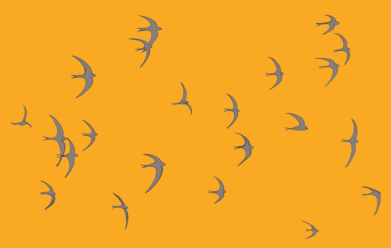 Swifts, 2017 af Sarah Hough