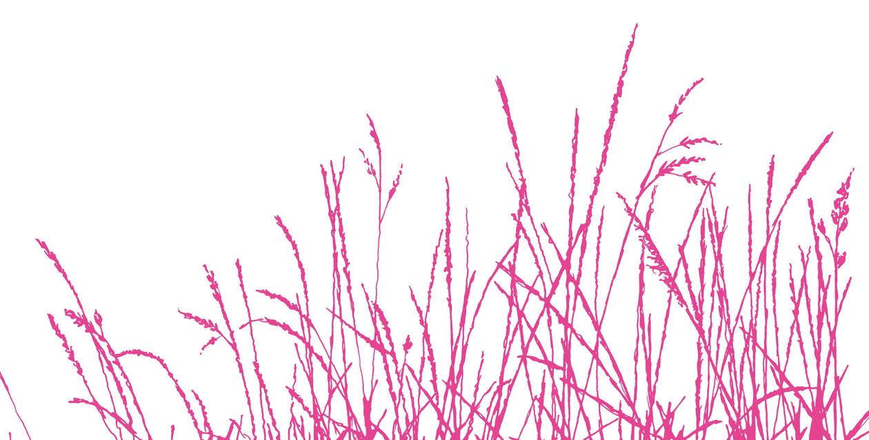 Wild Whisper, 2009 (digital) af Sarah Hough