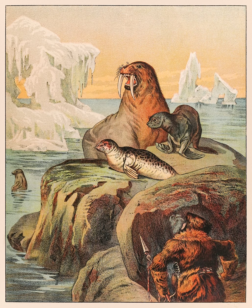 En eskimo, der jager sæler og en hvalros, fra P.T. Barnum