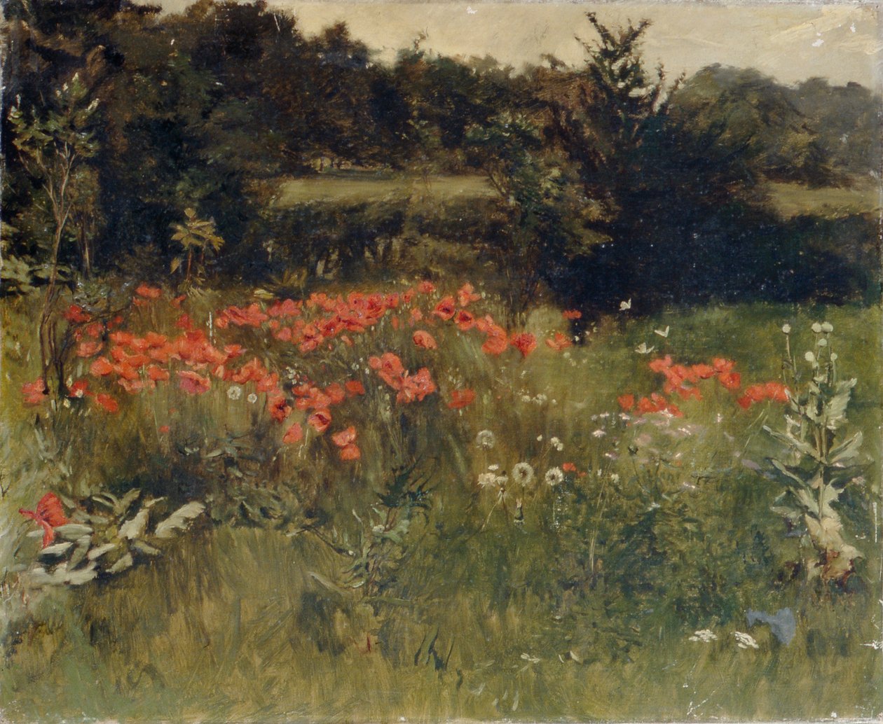 Valmuer, Reigate af Sarah Paxton Ball Dodson
