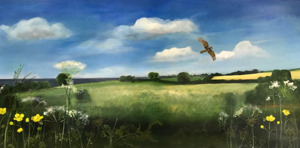 Buzzard, 2022 (olie om bord) af Sarah Thompson Engels