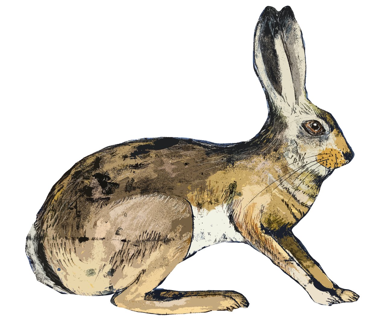 Hare, 2024 (monoprint) af Sarah Thompson Engels