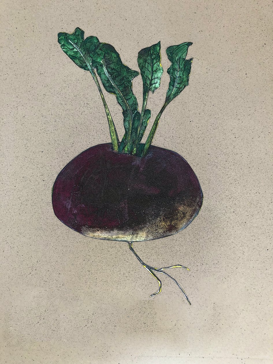 Turnip, 2024 (olie på lærred) af Sarah Thompson Engels