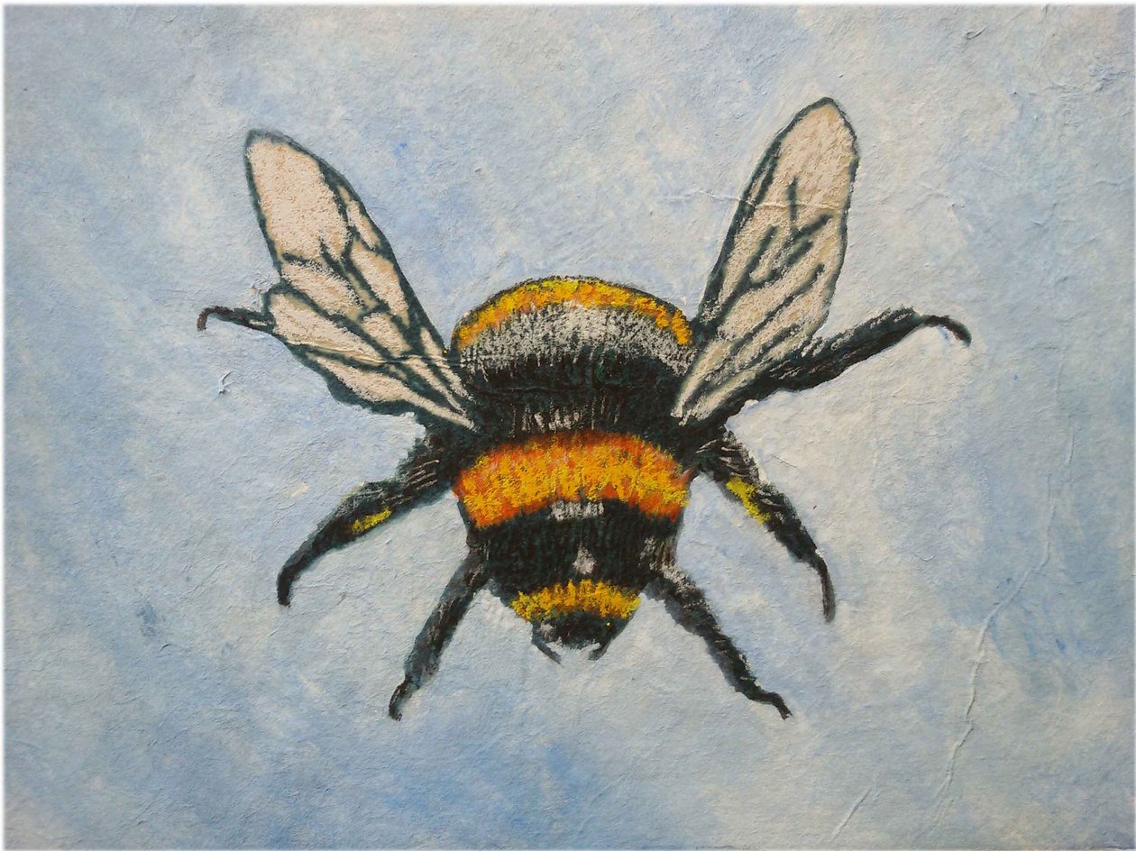 Humlebi, 2015 (pastellfarver og akvareller) af Sarah Thompson Engels