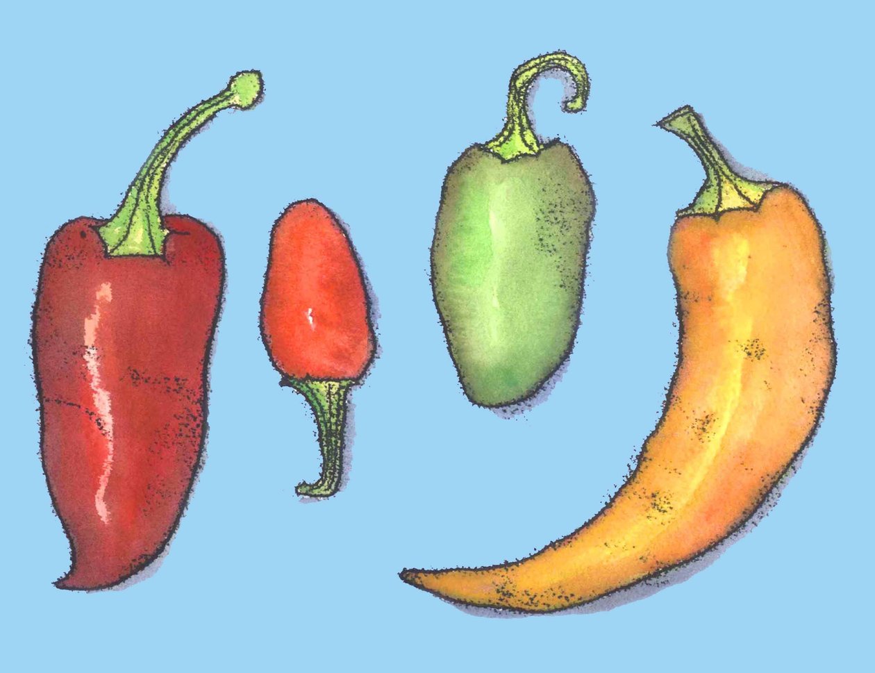 Chilipeber, 2013, (monoprint) af Sarah Thompson Engels