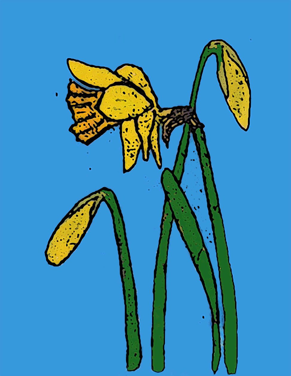 Påskeliljer, 2015 (monoprint med blæk) af Sarah Thompson Engels