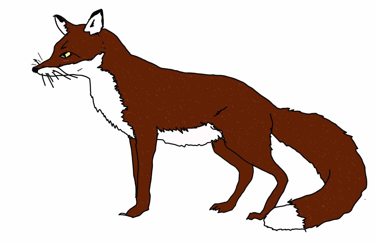 Fox, 2018, (digital tegning) af Sarah Thompson Engels
