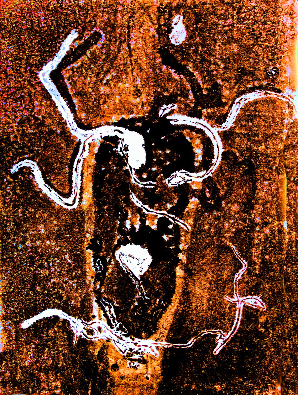 Orange abstrakt 2020 (monoprint) af Sarah Thompson Engels