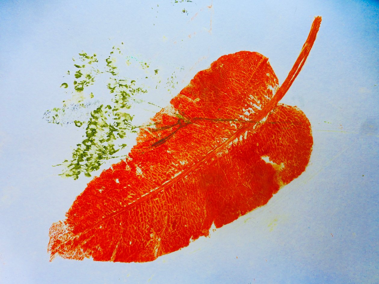 Orange blad (monoprint på papir) 2020 af Sarah Thompson Engels