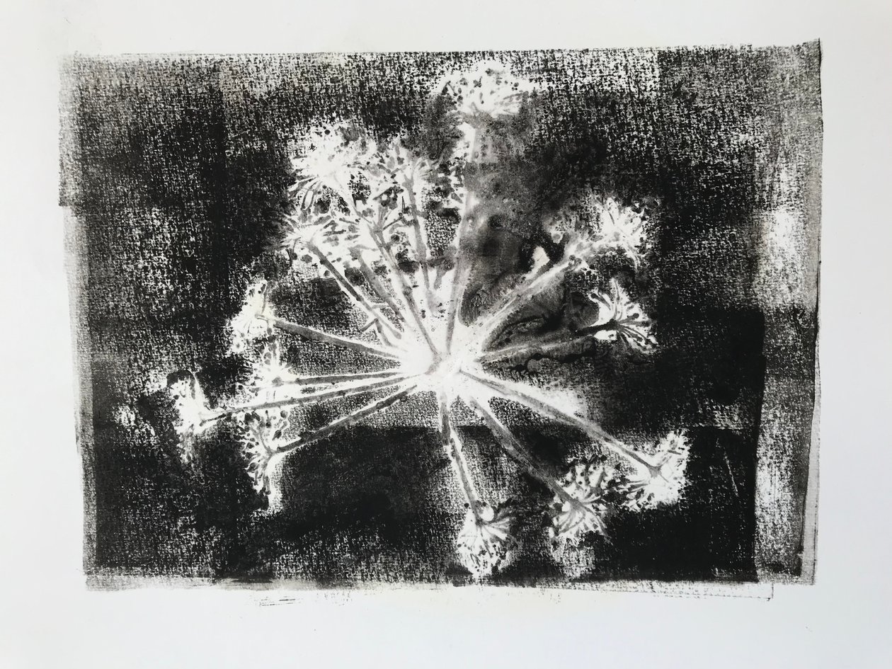 Sidhel E, 2020, (Monoprint) af Sarah Thompson Engels