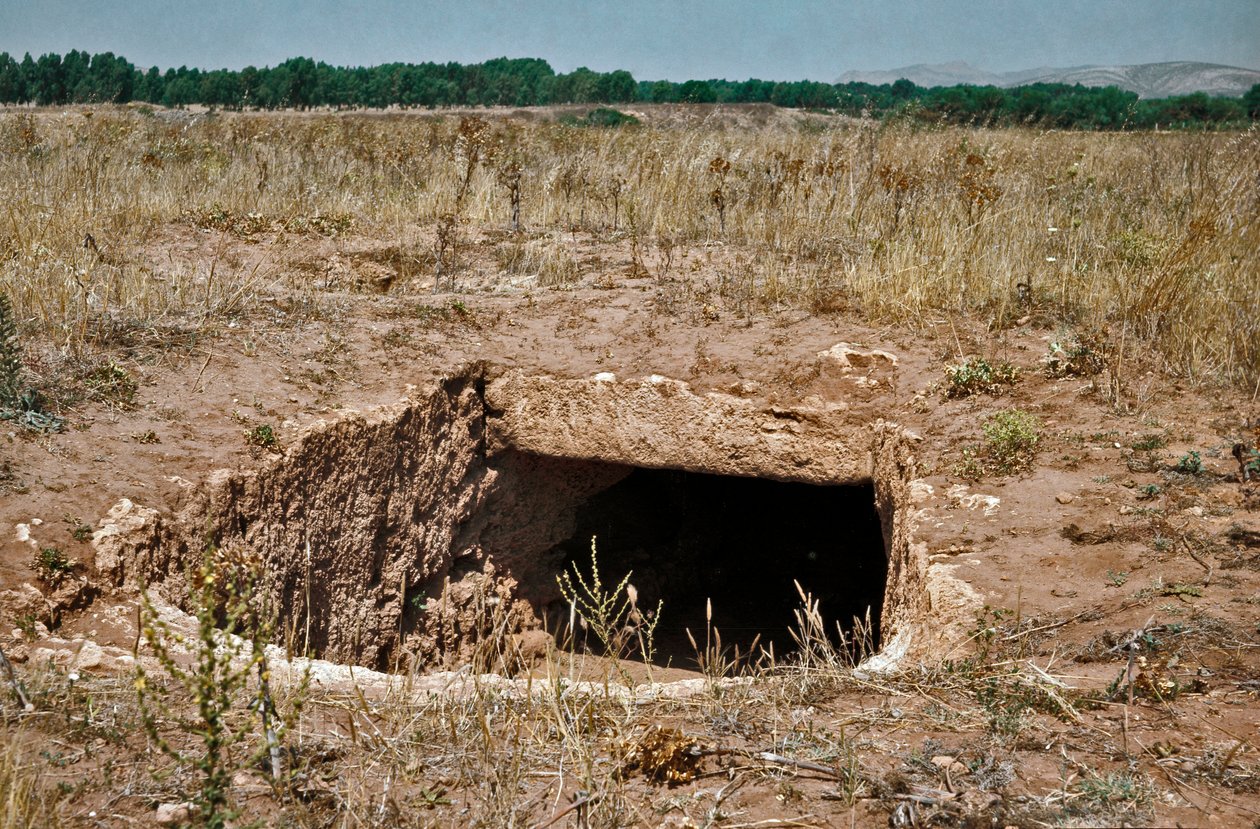Nuragisk kultur (nuraghi) Sardinsk: ruinerne af den præ-nuragiske by på det megalitiske område Anghelu Ruju: det centrale tårn. 20. århundrede f.Kr. Alghero, Sardinien Italien af Sardinia Nuragic Civilization