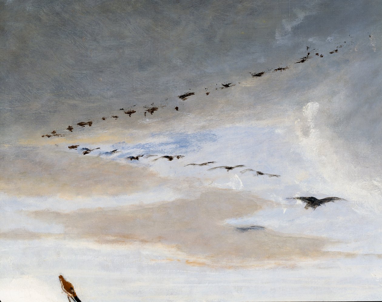 Fugle i V-formation, detalje fra Marius