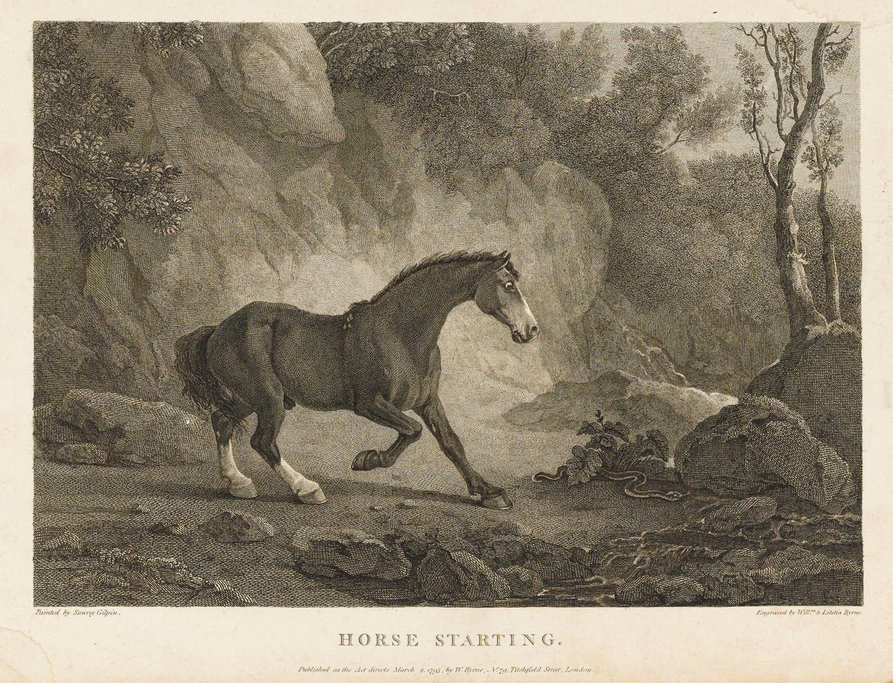 Hest starter (ætsning) af Sawrey (after) Gilpin