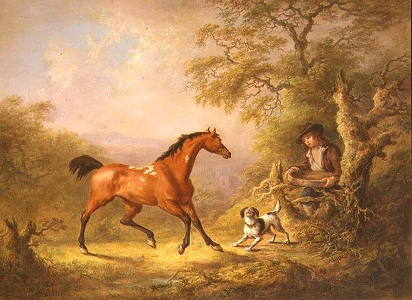 En brudgom fodrer en hest (olie på lærred) af Sawrey Gilpin