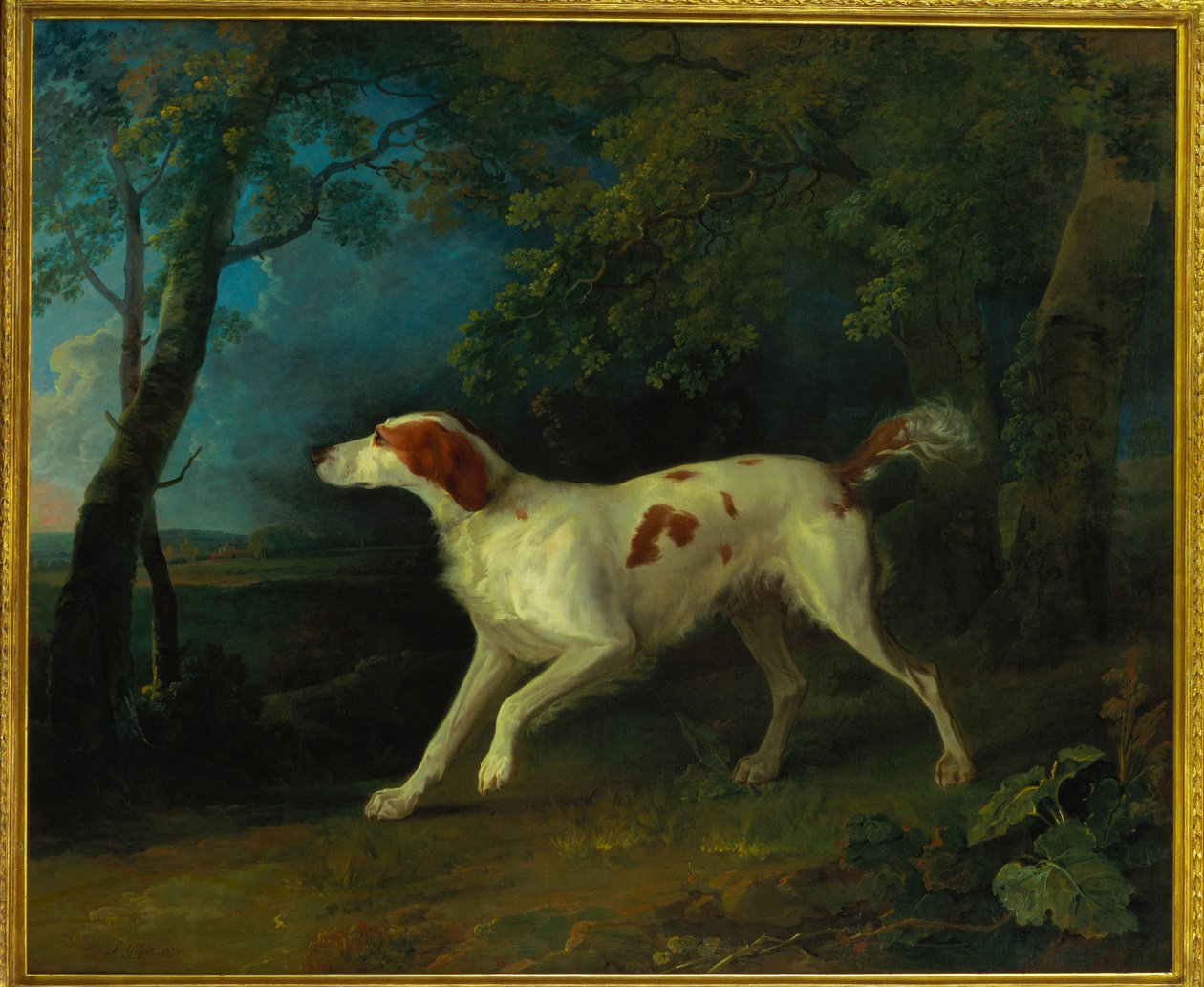 En brun og hvid setter i et skovklædt landskab, 1773 af Sawrey Gilpin