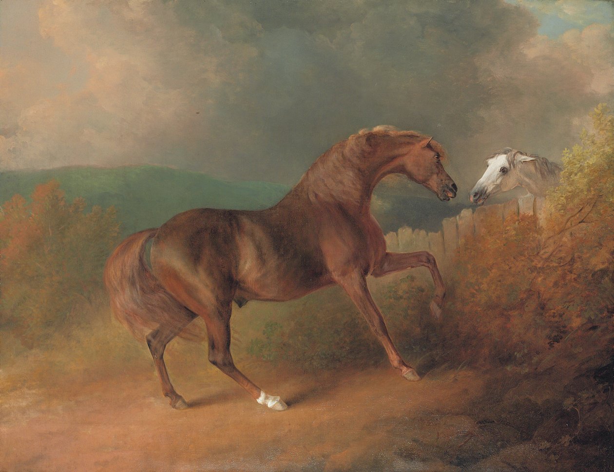 Oberst Thorntons Jupiter, af Eclipse out of a Mare by Tartar, ved et hegn, med en grå hoppe, ved Thornville Royal, 1792 af Sawrey Gilpin
