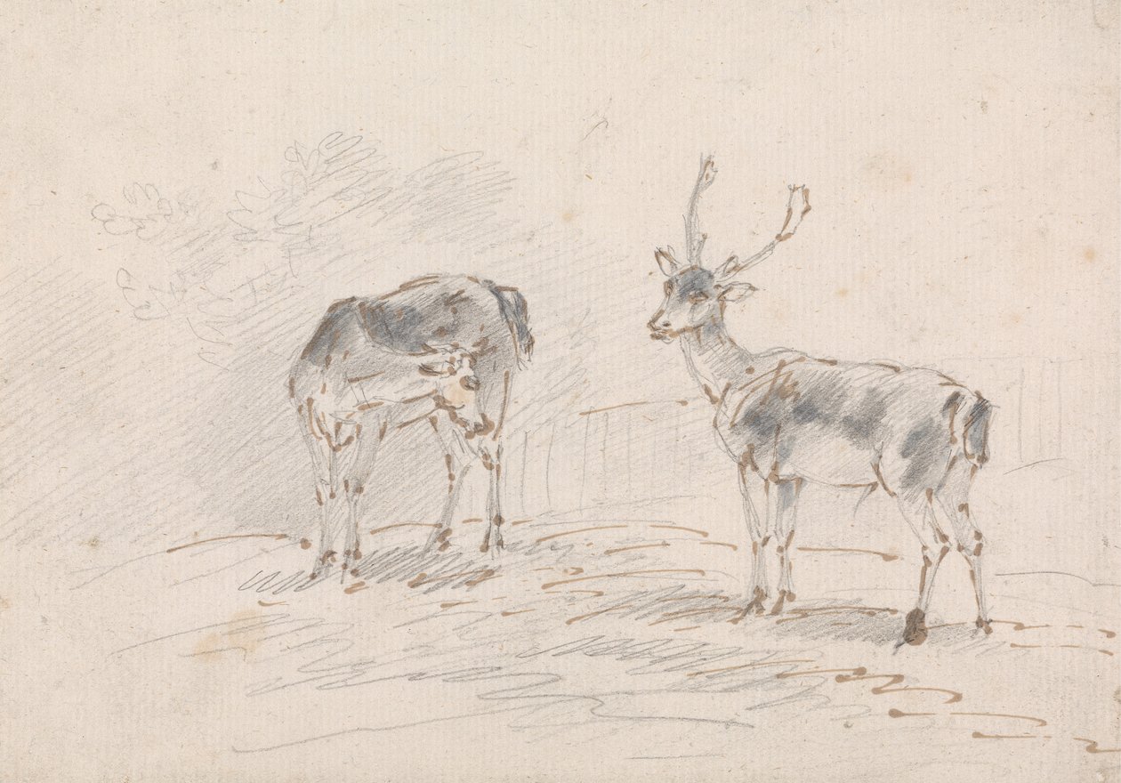 Doe og Buck af Sawrey Gilpin