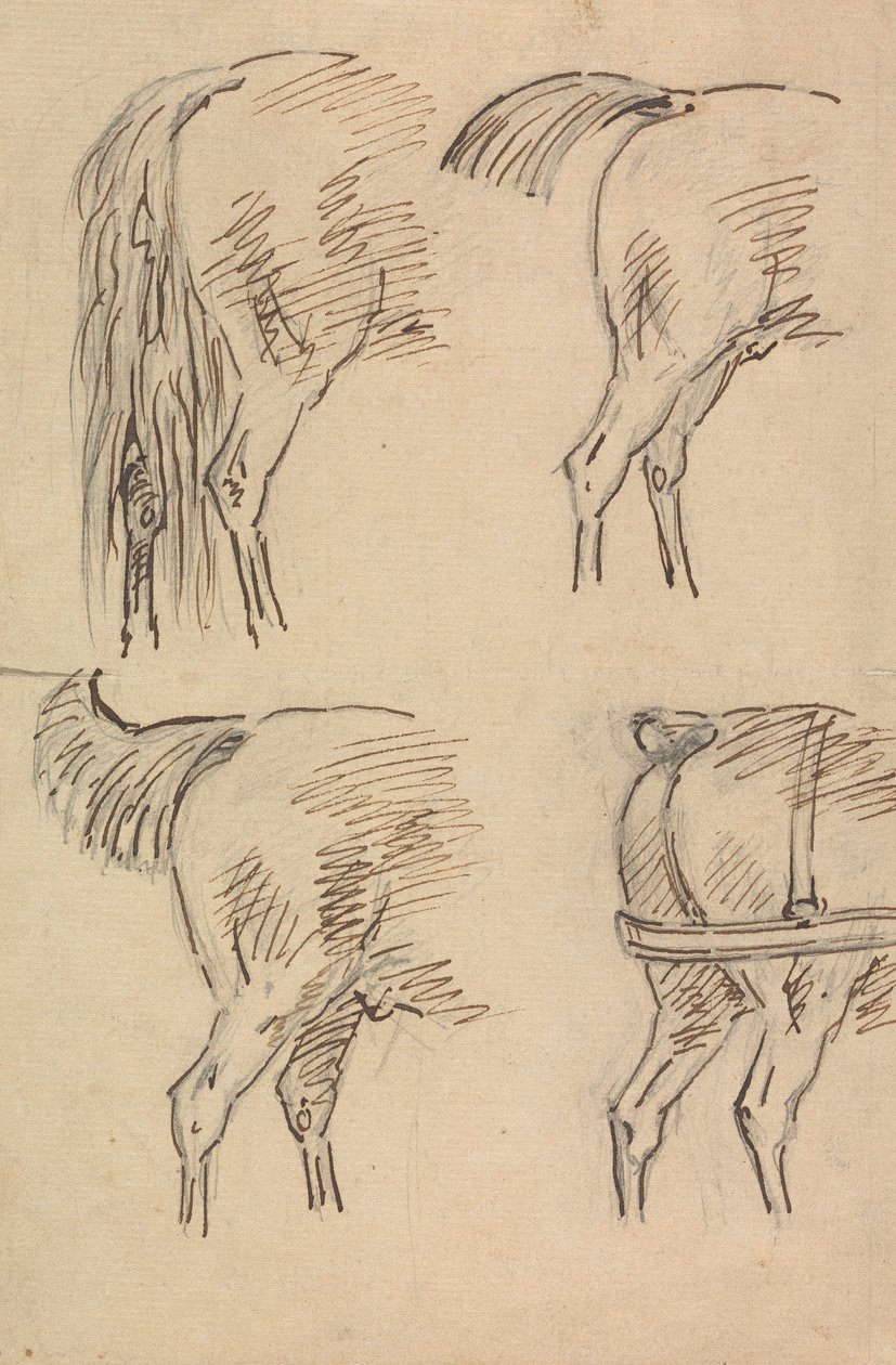 Fire Skitser af Hind Quarters of Horse af Sawrey Gilpin