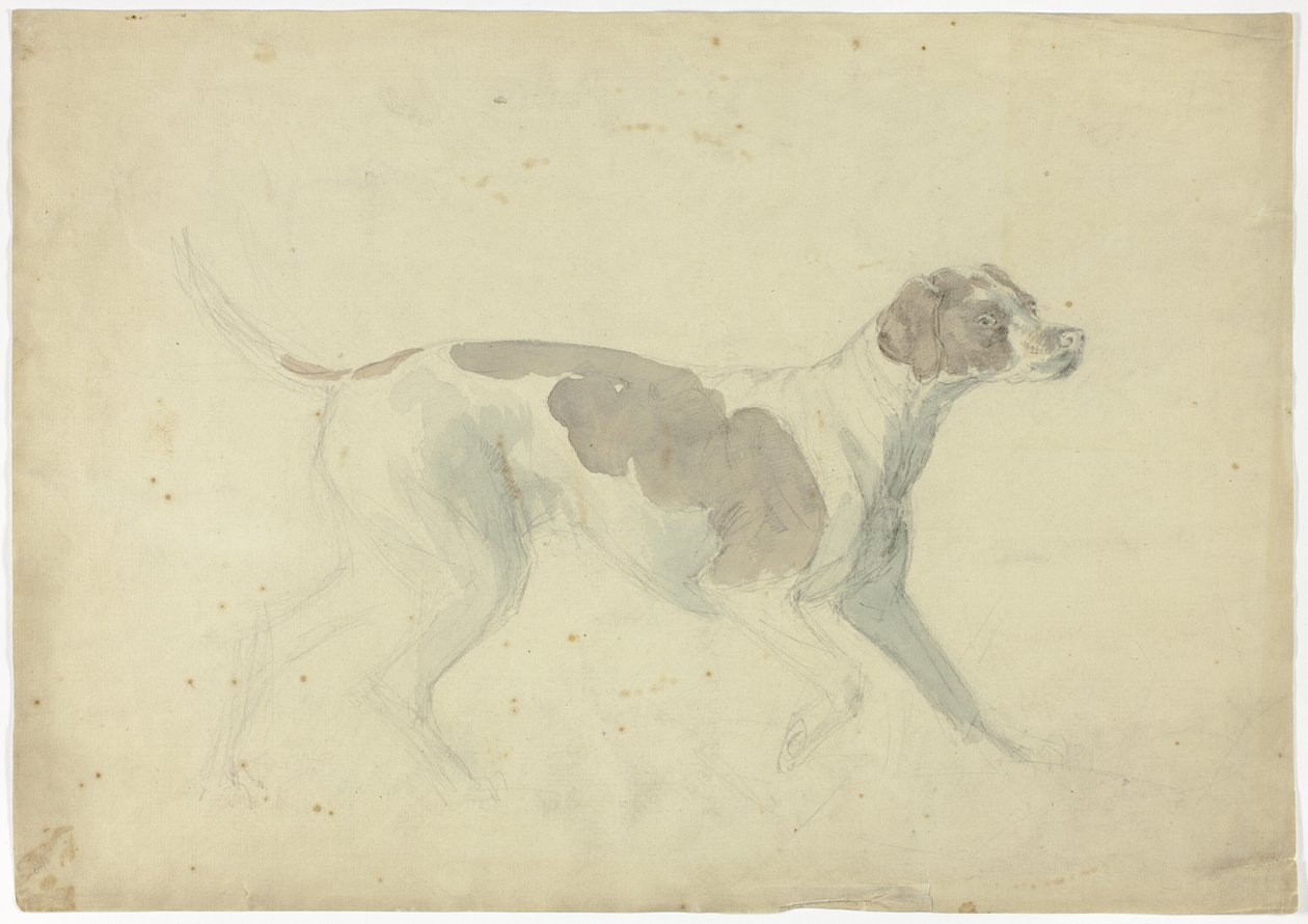 Rævehund (recto); Skitser af hest og rytter (verso) af Sawrey Gilpin