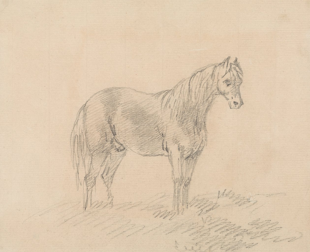 Mand Hest af Sawrey Gilpin