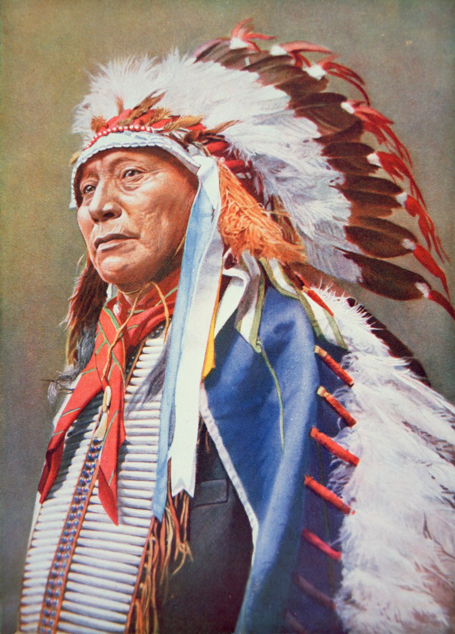 Chief Hollow Horn Bear (1850-1913) (farve litho) af School American