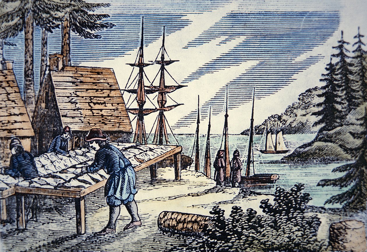 Fiskere, der tørrer torsk i New England, fra et træsnit fra det 17. århundrede (farve litho) af School American