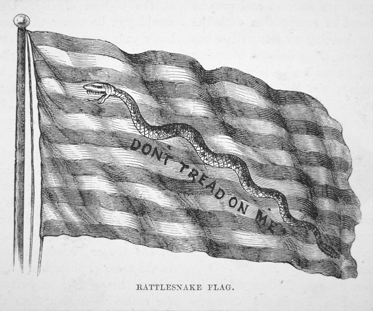 Det amerikanske flådeflag, som det blev flaget af John Paul Jones (litografi) af School American