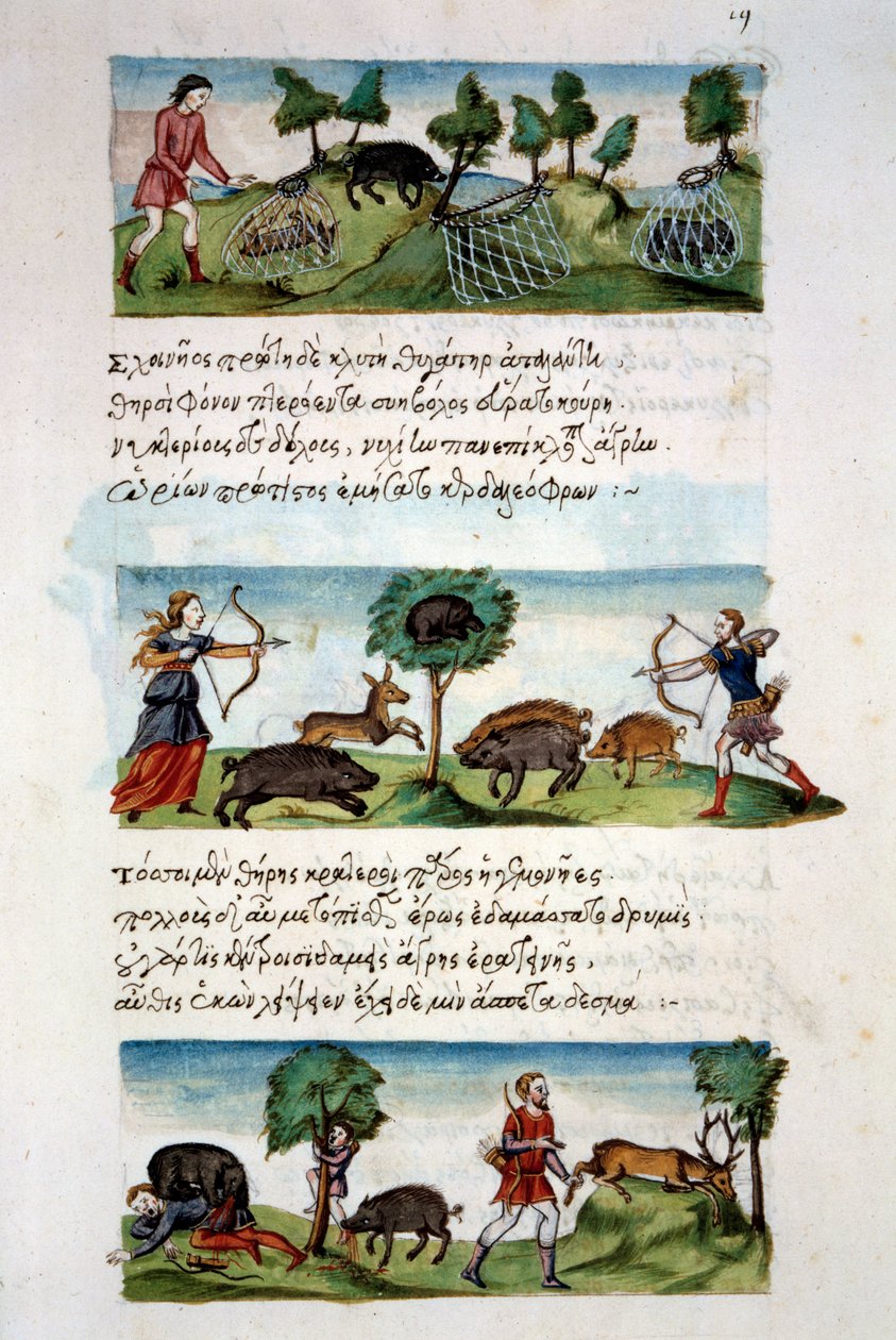 Art Byzantium: vildsvinejagt. Forskellige jagtteknikker. Øverst: fangst af roer i net. I centrum vildt på jagt efter en bue. Nederst: jægere angriber af dyr. Miniature i "" De venatione"" folio 19, af Oppian fra Syrien af School Byzantine
