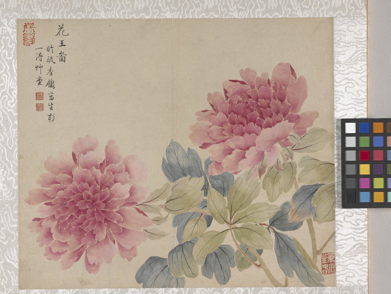 8-bladet blomsteralbum, midten af 1700-tallet (blæk og farve på papir) af School Chinese