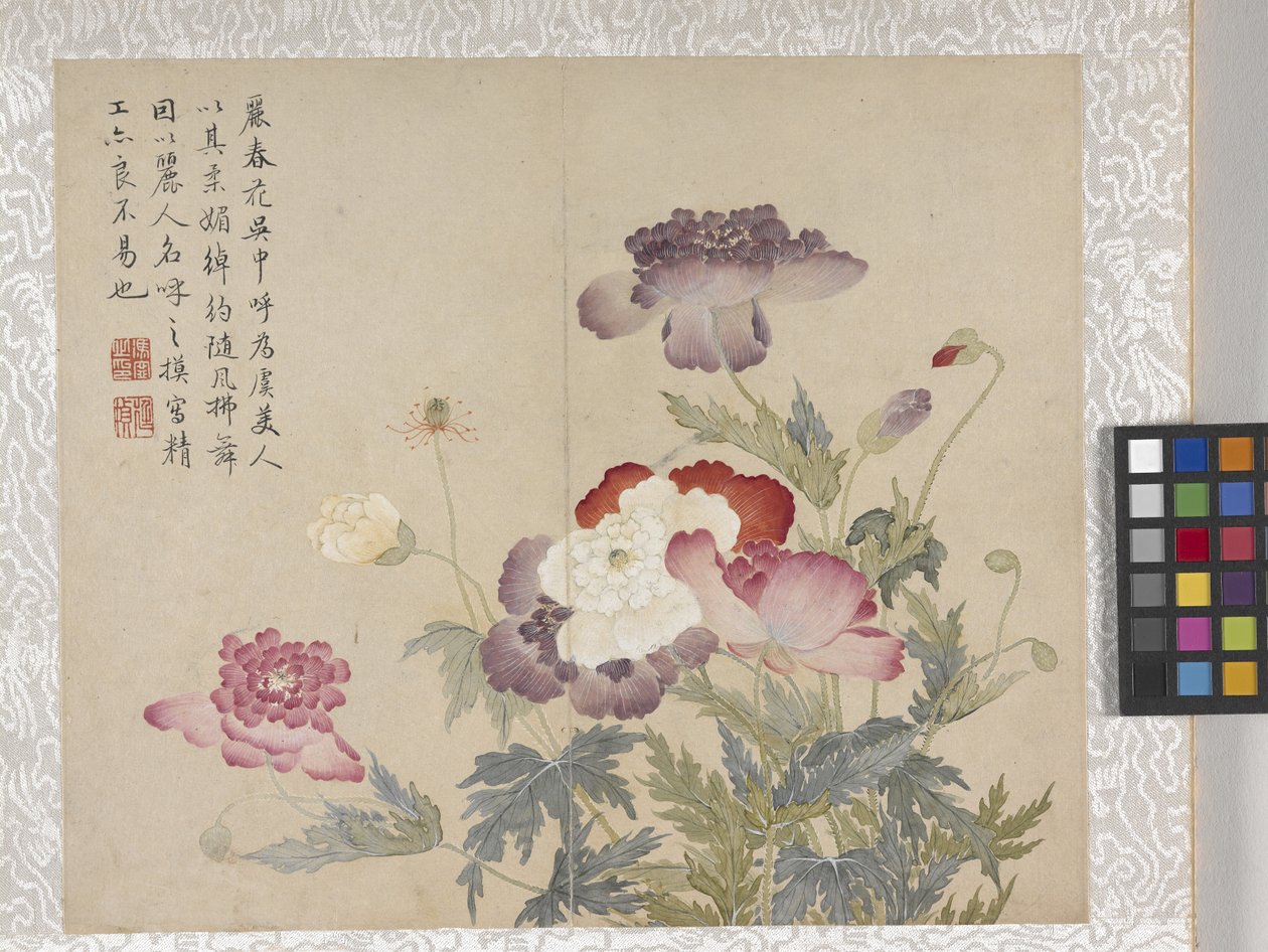 8-bladet blomsteralbum, midten af 1700-tallet (blæk og farve på papir) af School Chinese