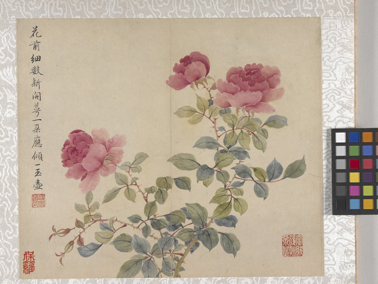 8-bladet blomsteralbum, midten af 1700-tallet (blæk og farve på papir) af School Chinese