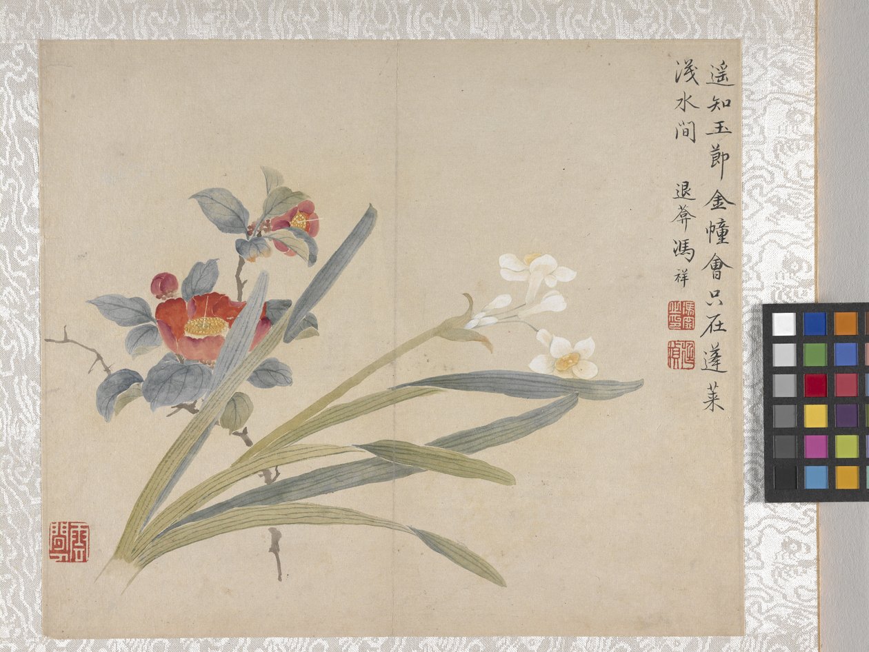 8-bladet blomsteralbum, midten af 1700-tallet (blæk og farve på papir) af School Chinese