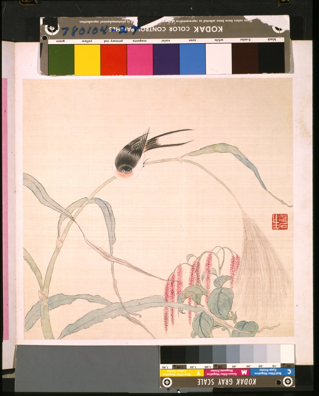 Album med blomster og fugle af School Chinese