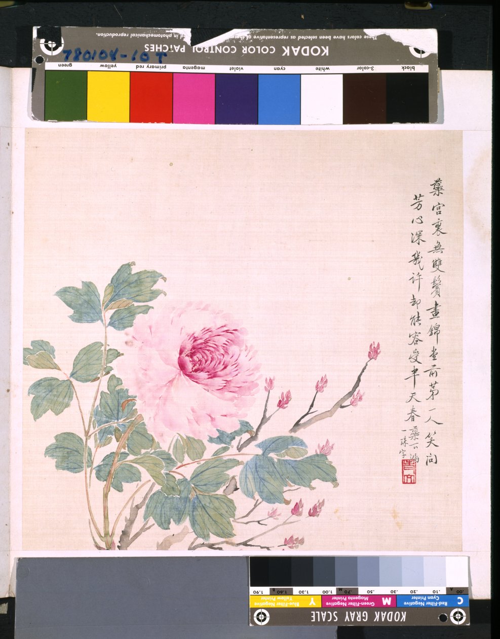 Album Of Flowers And Birds, ukendt dato (blæk og farve på silke) af School Chinese