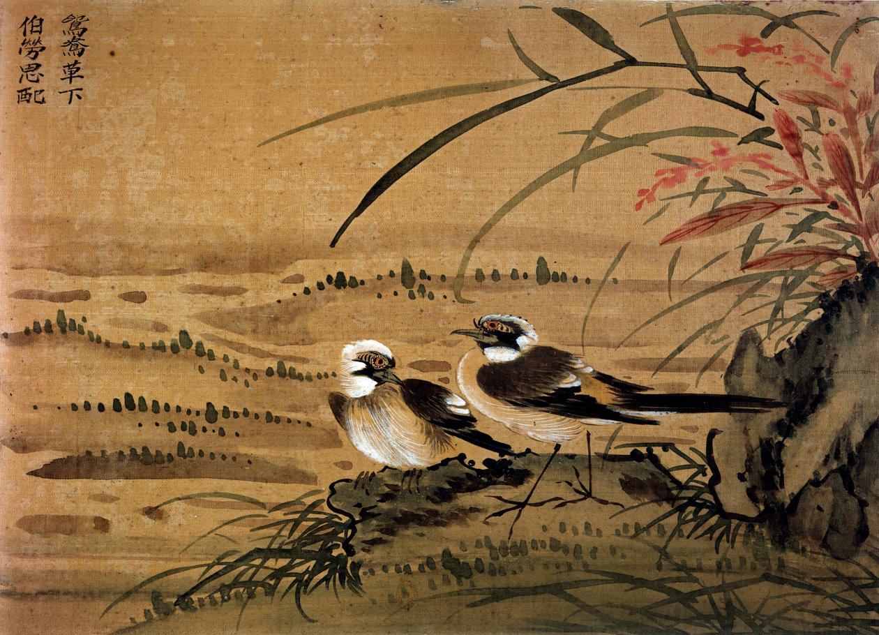 Kunst Kina: Fugle. Silkemaleri af Li youen kien fra det 16. århundrede. Paris, BN af School Chinese