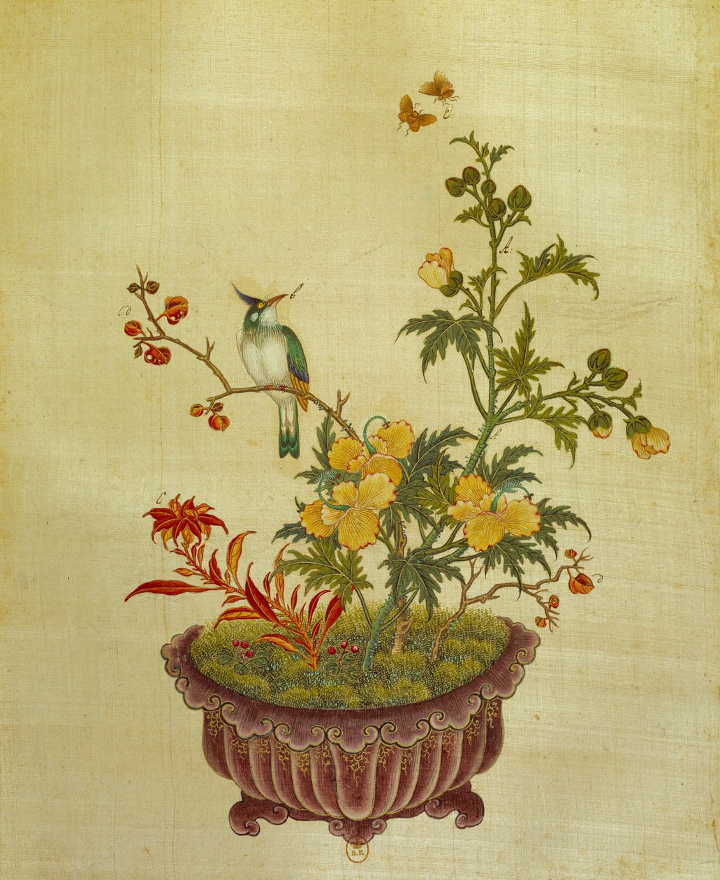 Art China: maleri på silkeblomster og fugle. Anonym fra det 18. århundrede. Paris, BN af School Chinese