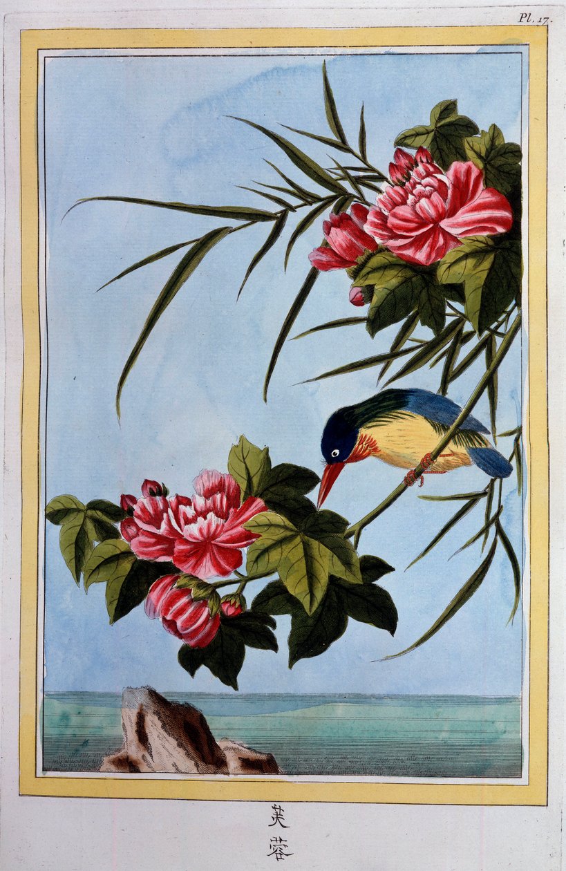 Fugl på en gren (Fugleflue?) Gouache fra det 18. århundrede Dijon, kommunalt bibliotek af School Chinese