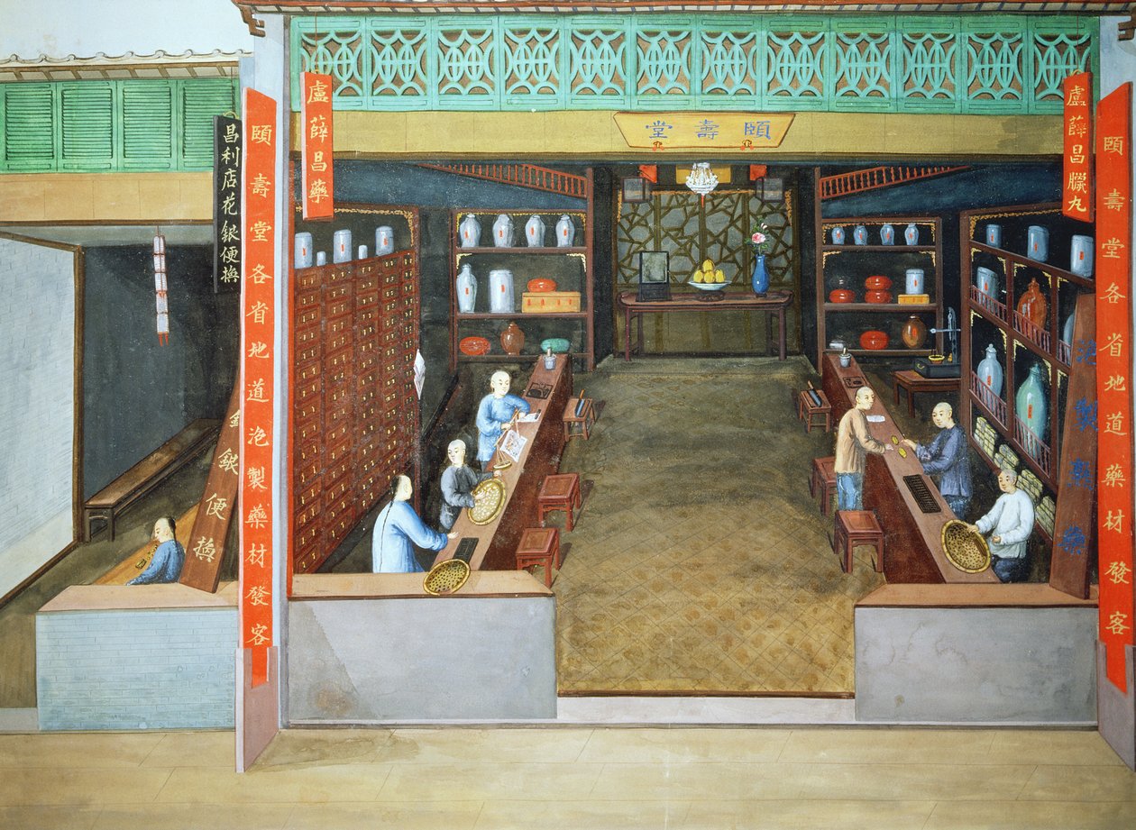 Kinesisk medicin, ca. 1830 (gouache på papir) af School Chinese