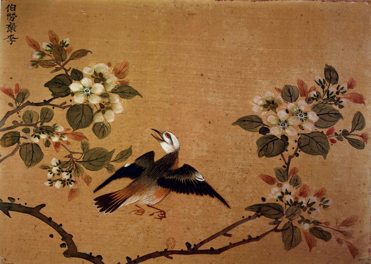 Kinesisk kunst: fugl og blomster. Silkemaleri fra 1500-tallet. Paris, B.N. af School Chinese
