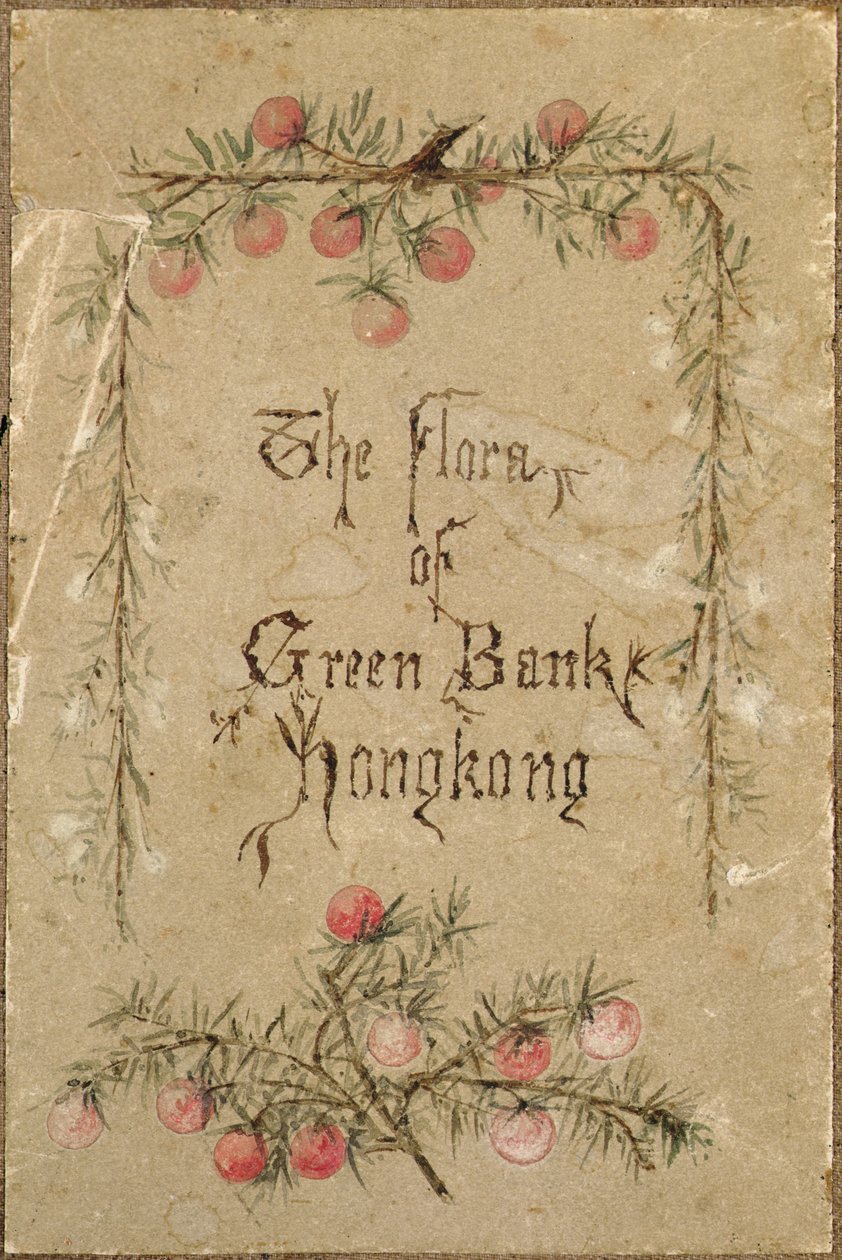 Fra haven ved Green Bank, Hong Kong af School Chinese