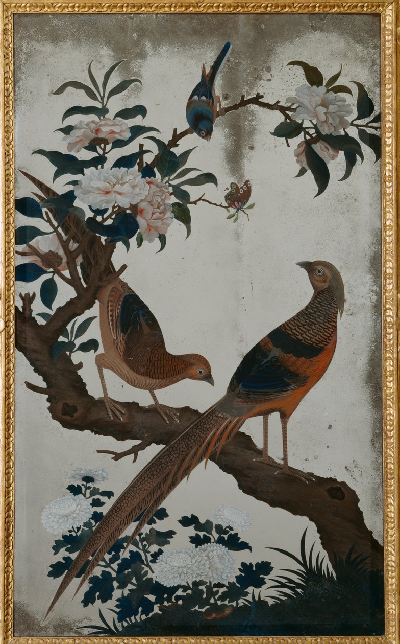 Golden Pheasants, Ch