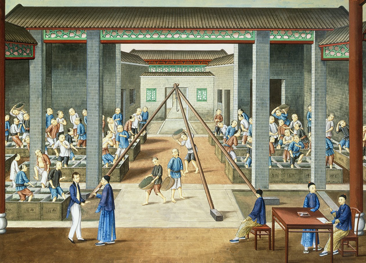 Tekultur: afvejning og køb af te (gouache på papir) af School Chinese