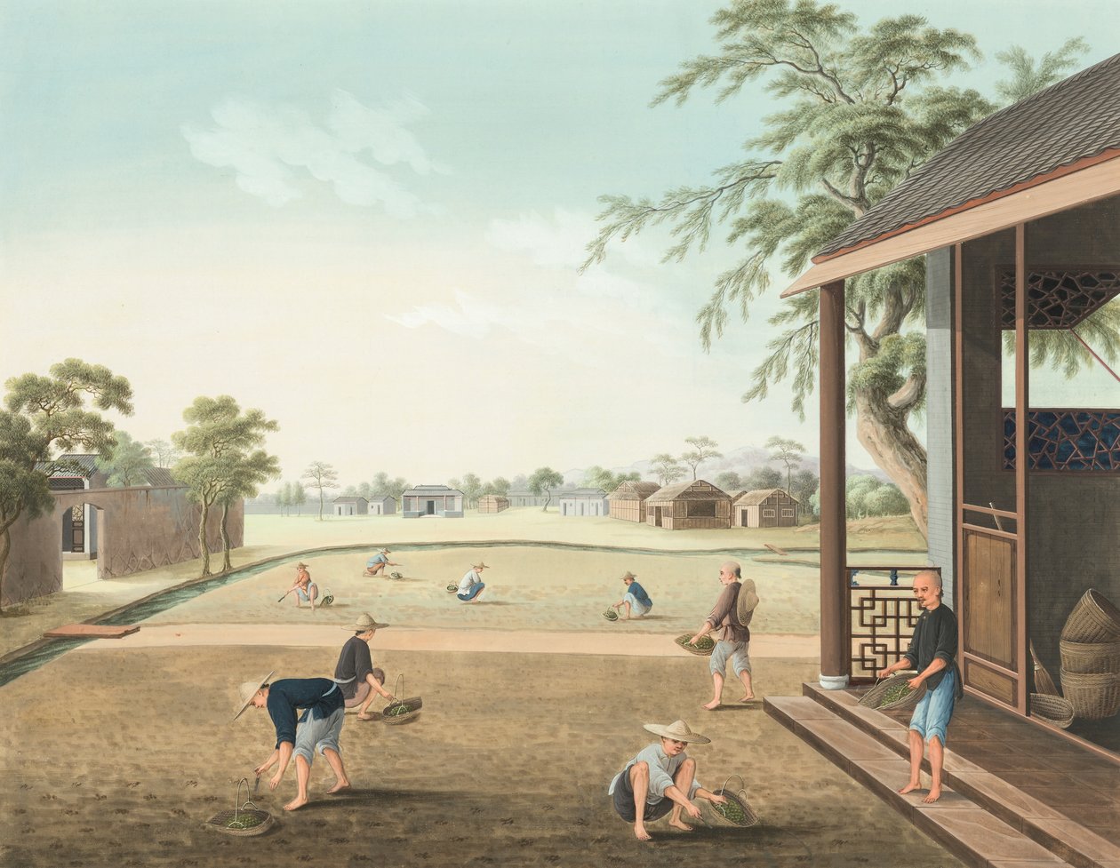 Teproduktion, ca. 1820 (kropsfarve og guldmaling på silke lagt på papir) af School Chinese