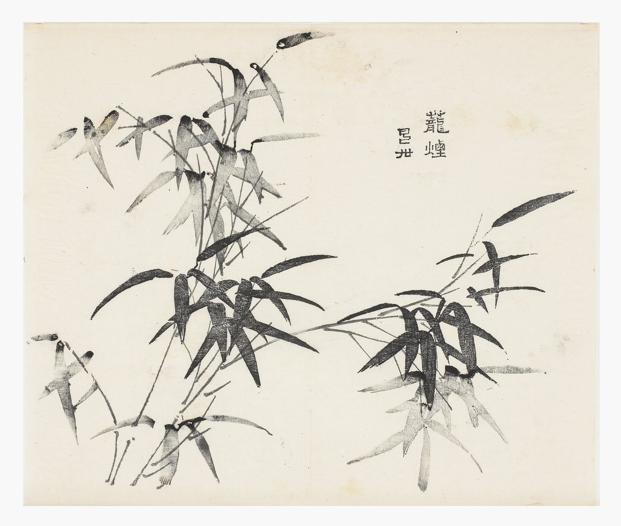 Ti Bamboo Series af School Chinese