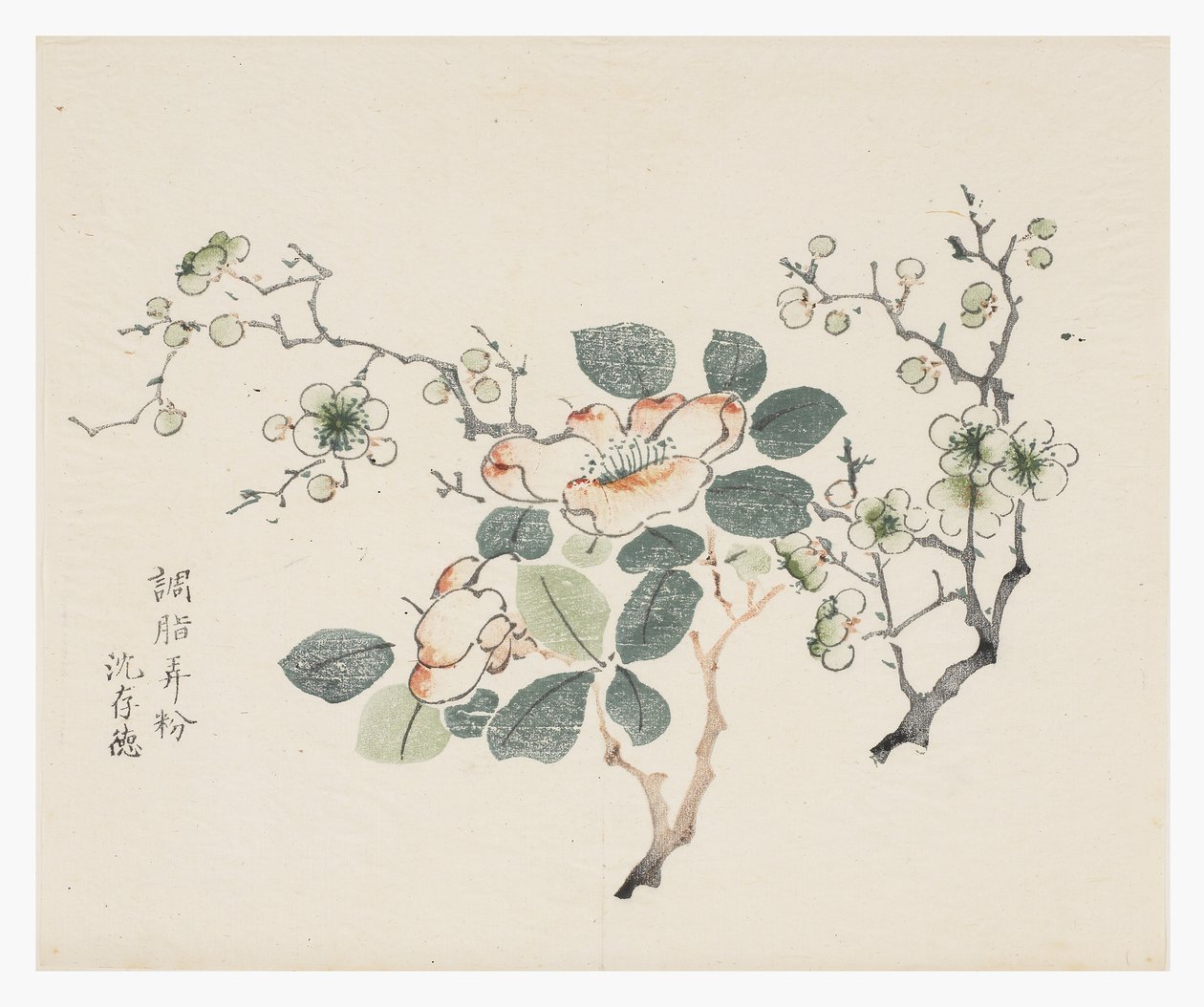 Ti Bamboo Series af School Chinese